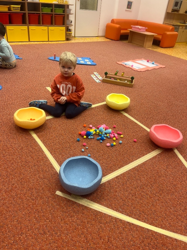 Žluťásci - Ptáčci v krmítku