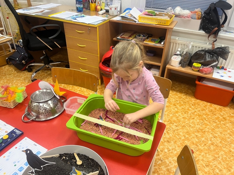 Žluťásci - Ptáčci v krmítku