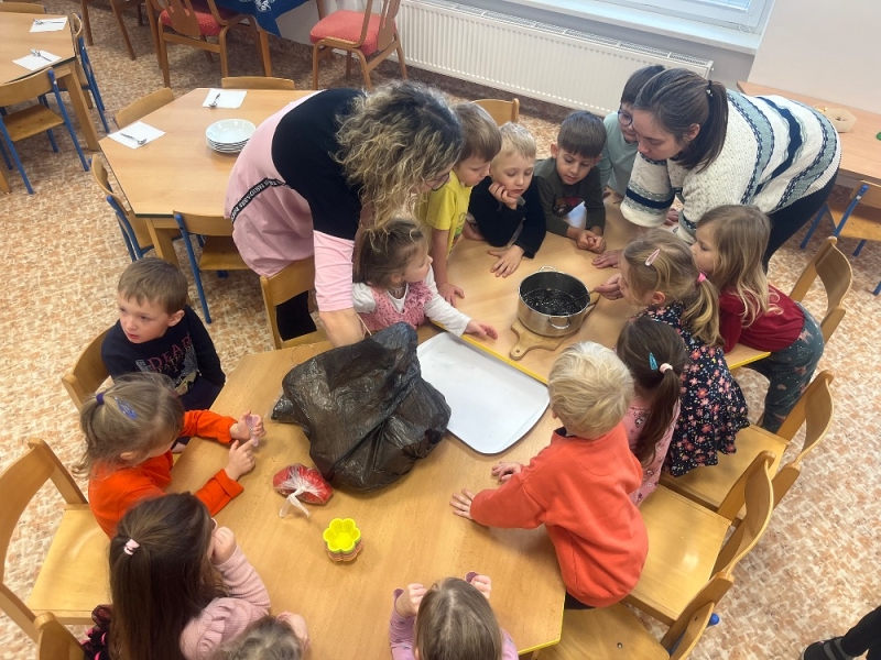 Žluťásci - Ptáčci v krmítku