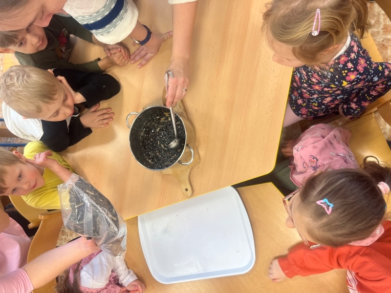 Žluťásci - Ptáčci v krmítku