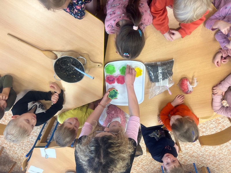 Žluťásci - Ptáčci v krmítku