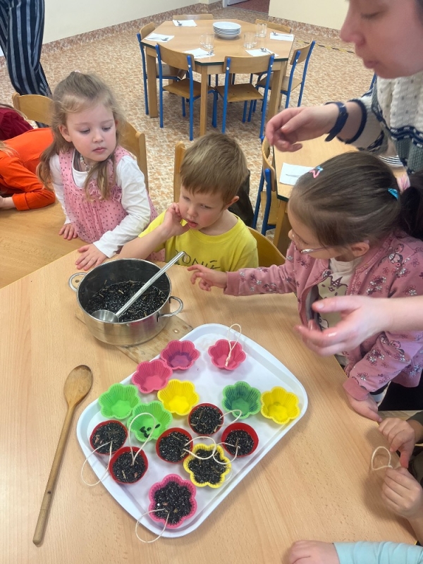 Žluťásci - Ptáčci v krmítku