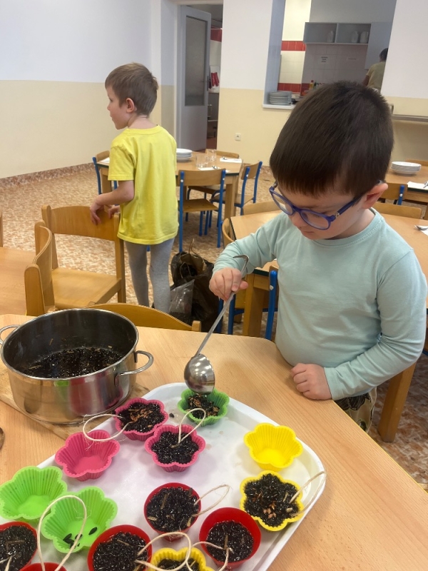 Žluťásci - Ptáčci v krmítku