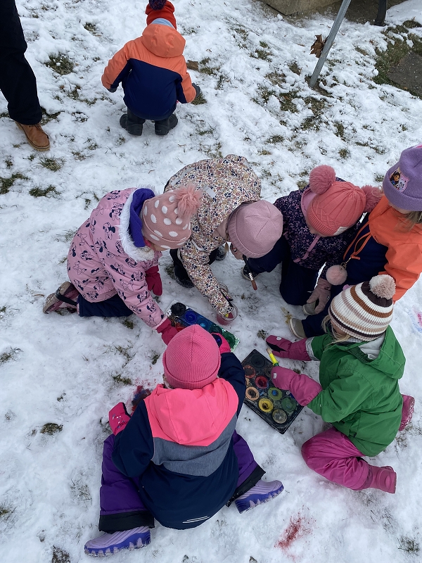 Žluťásci - Zimní sporty