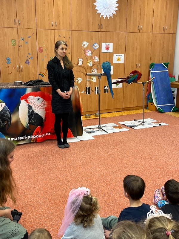 PAPOUŠCI VE ŠKOLCE