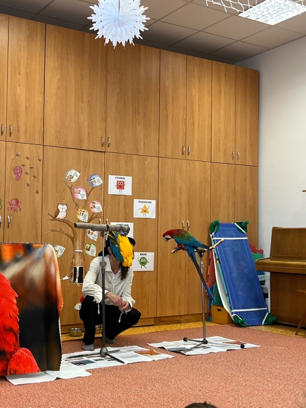 PAPOUŠCI VE ŠKOLCE