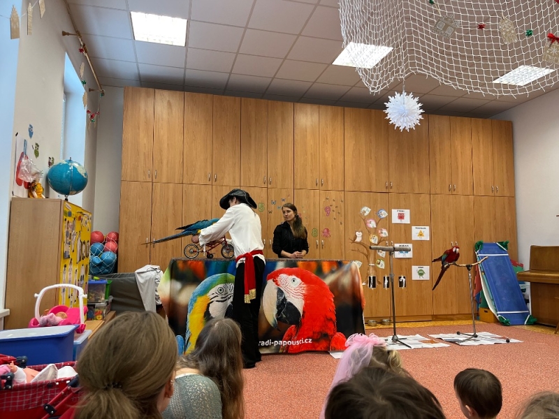 PAPOUŠCI VE ŠKOLCE