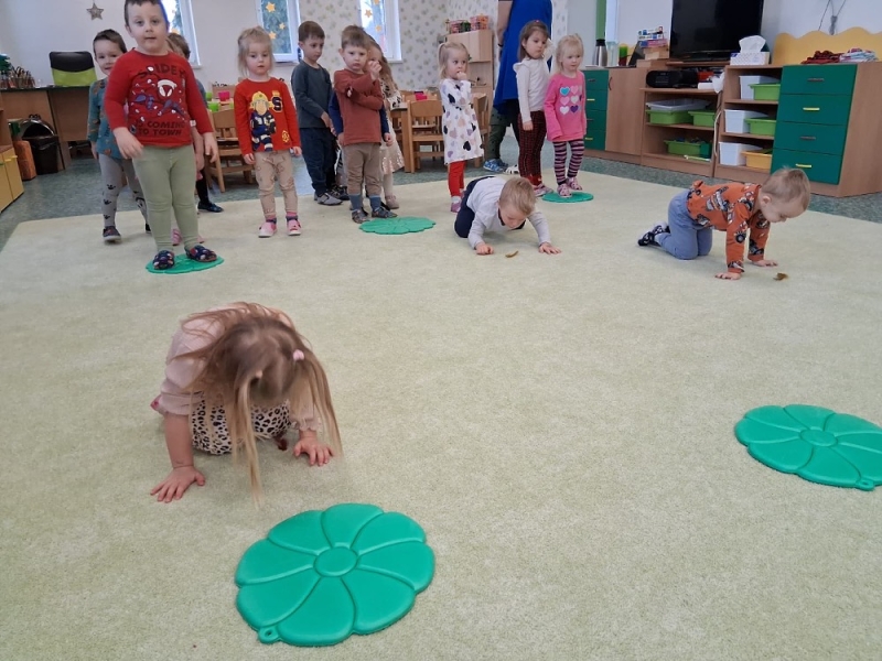 Zeleňásci - Huboval vrabčák na zimu