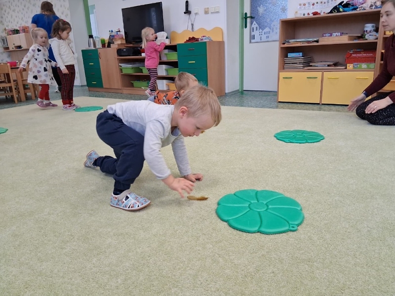 Zeleňásci - Huboval vrabčák na zimu