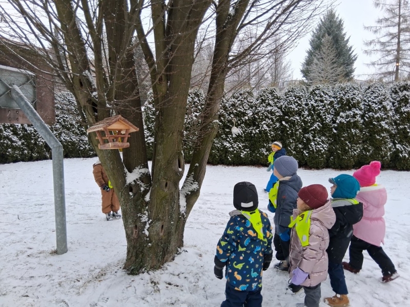Zeleňásci - Huboval vrabčák na zimu