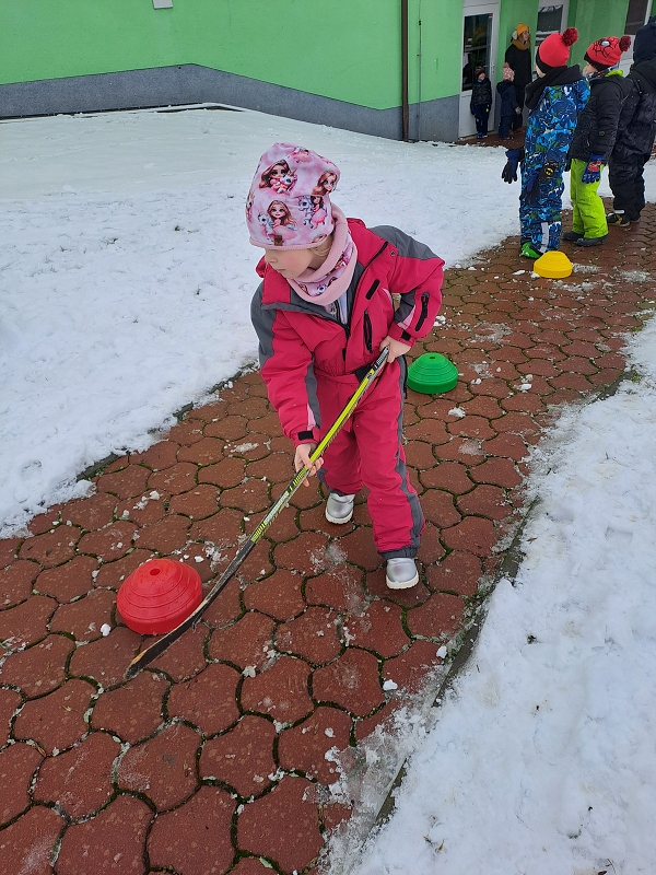Zimní olympiáda - Modrásci