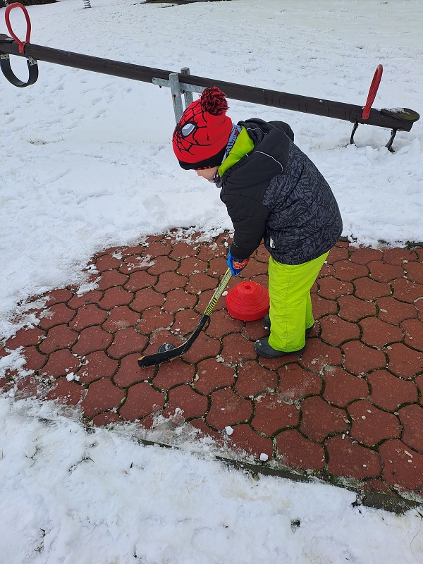 Zimní olympiáda - Modrásci