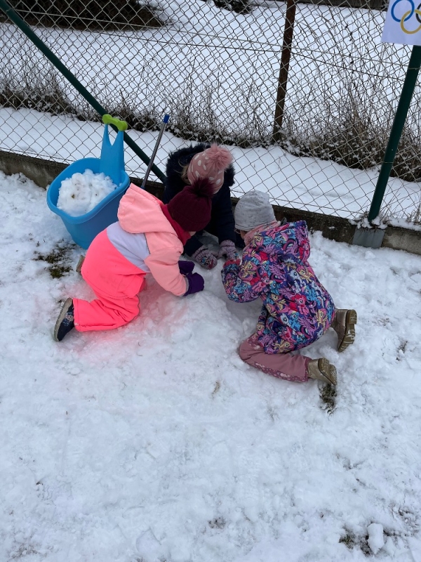 Žluťásci - Zimní olympiáda na Korálkách