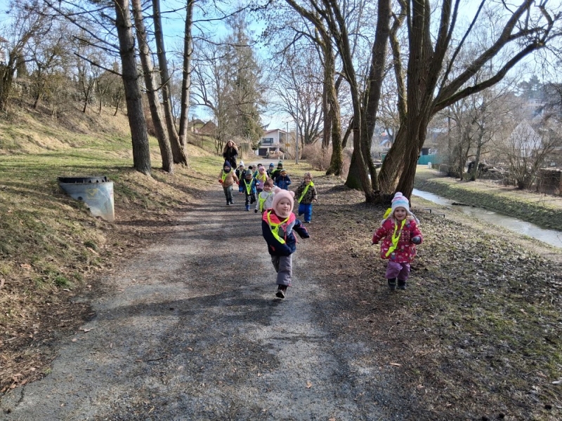 Zeleňásci - MŮJ DEN