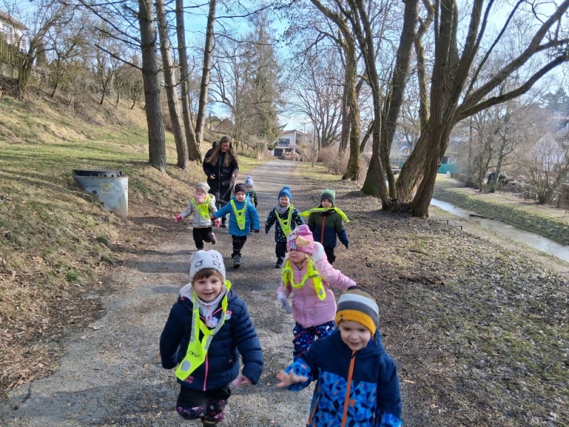 Zeleňásci - MŮJ DEN