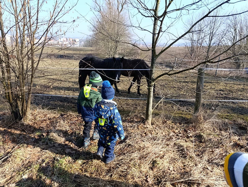 Zeleňásci - MŮJ DEN