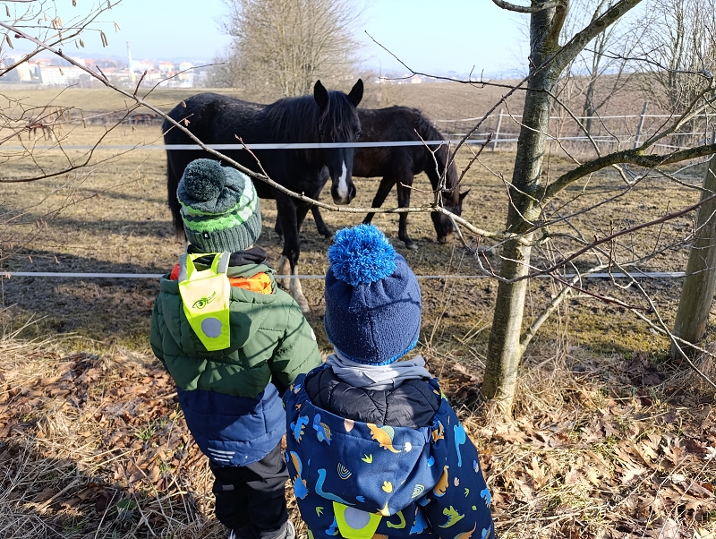 Zeleňásci - MŮJ DEN