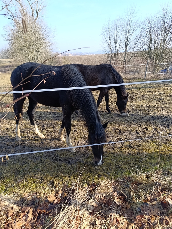 Zeleňásci - MŮJ DEN