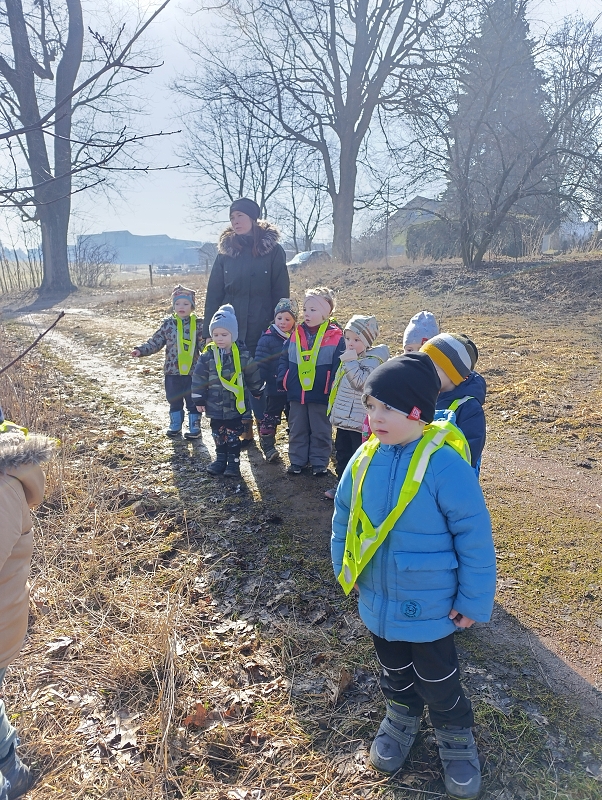 Zeleňásci - MŮJ DEN