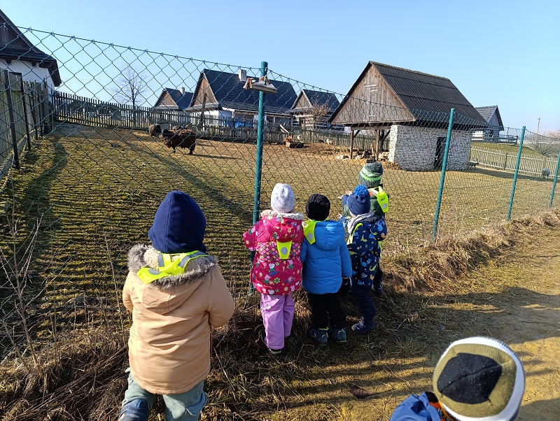 Zeleňásci - MŮJ DEN