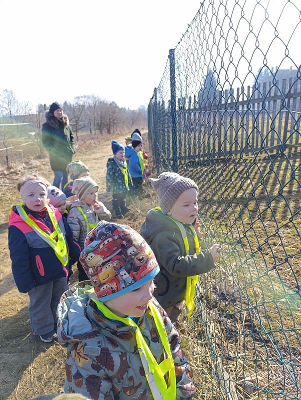 Zeleňásci - MŮJ DEN