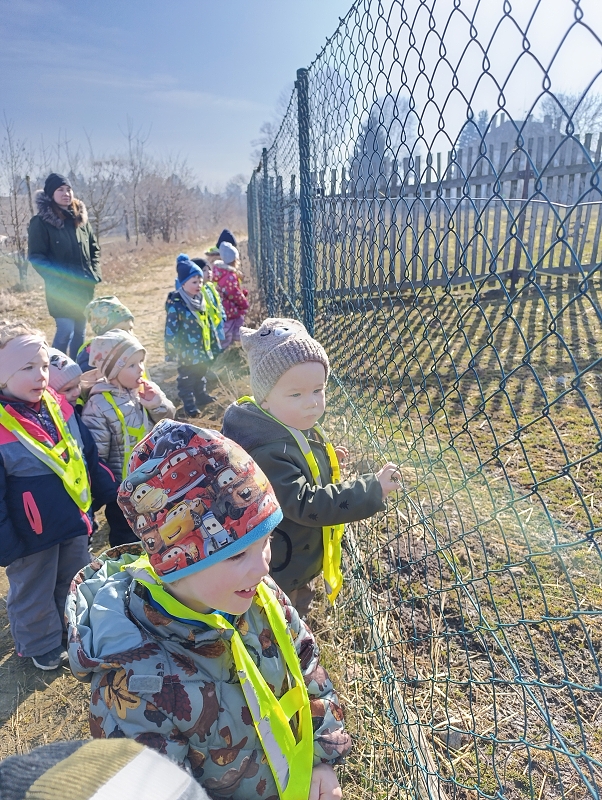 Zeleňásci - MŮJ DEN