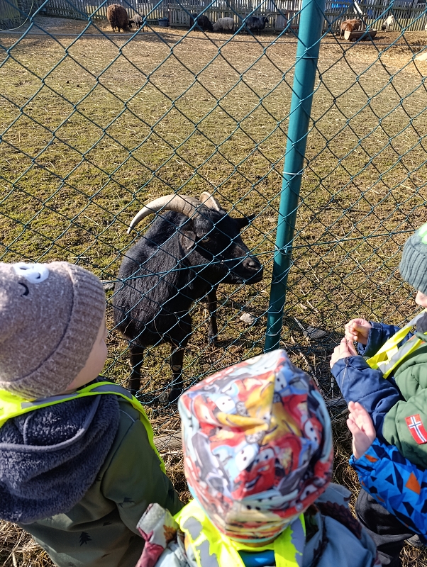 Zeleňásci - MŮJ DEN