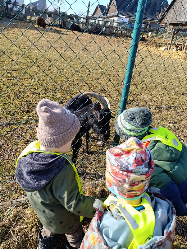 Zeleňásci - MŮJ DEN