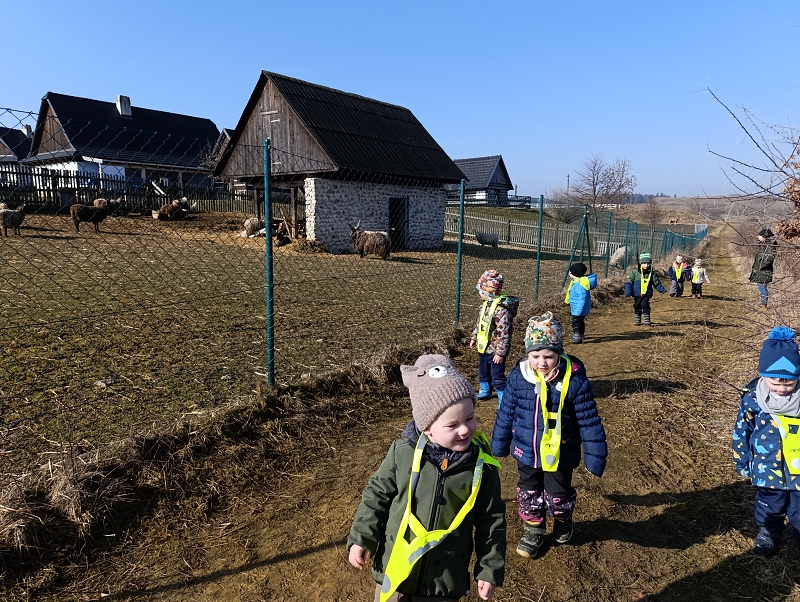 Zeleňásci - MŮJ DEN