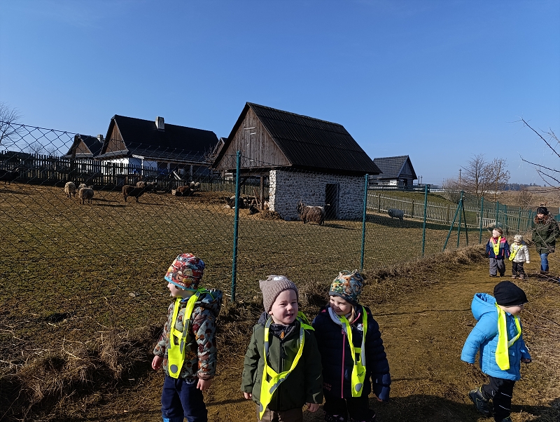 Zeleňásci - MŮJ DEN