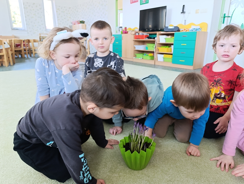 Zeleňásci - Březen za kamna vlezem