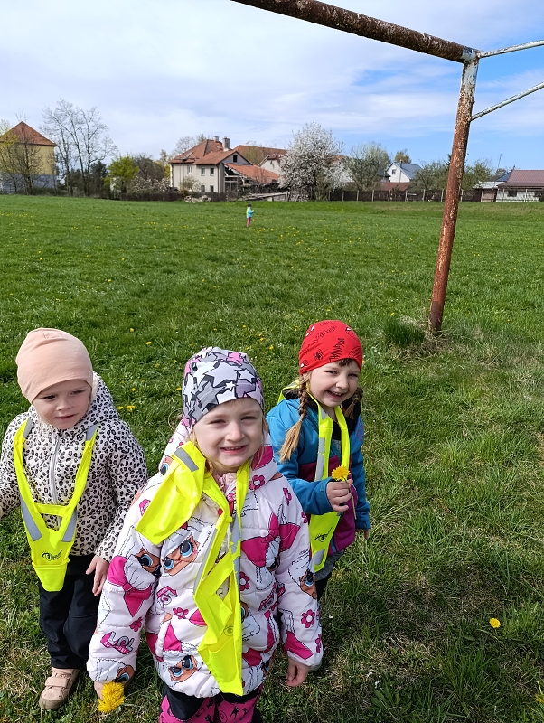 Zeleňásci - Pohádky