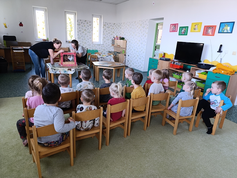 Zeleňásci - Pohádky