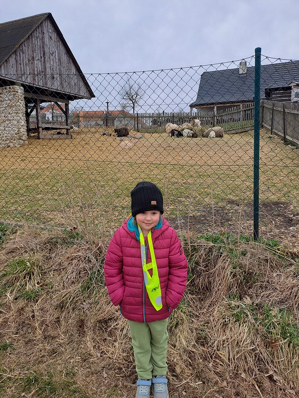 Zvířátka na dvorku - Modrásci