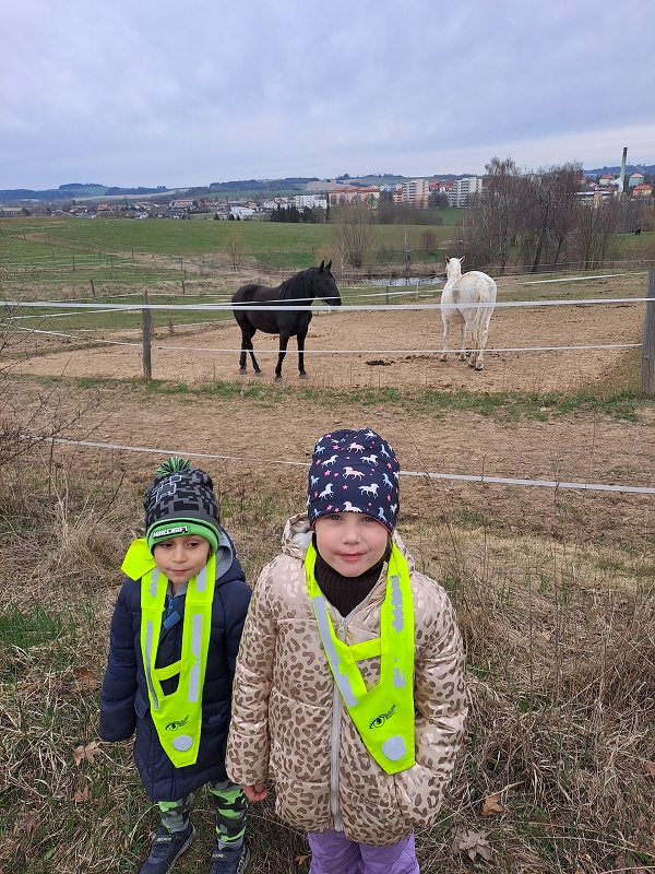 Zvířátka na dvorku - Modrásci