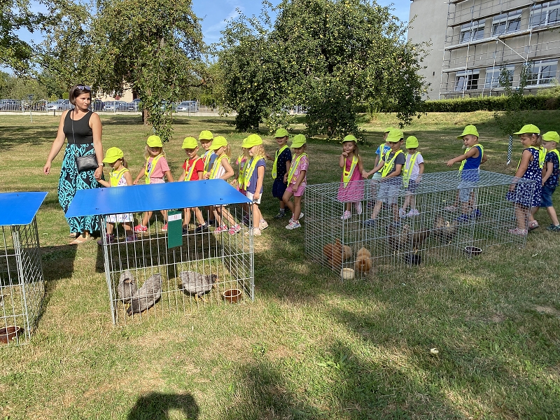 Výstava drobného zvířectva