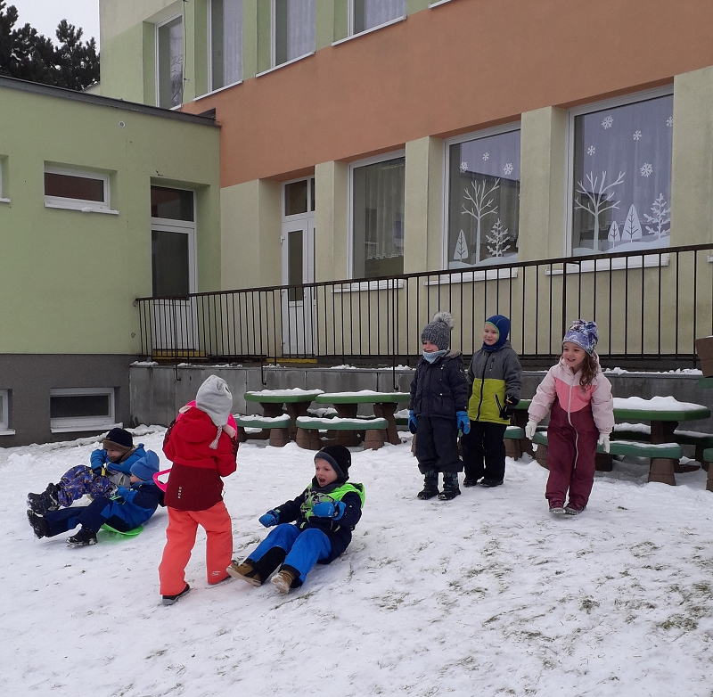 Kočičky na sněhu