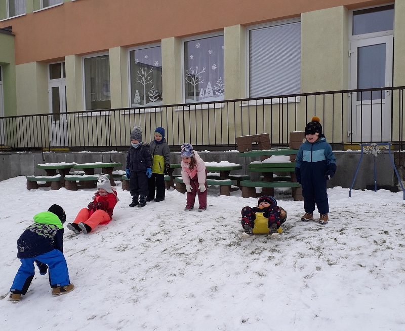 Kočičky na sněhu