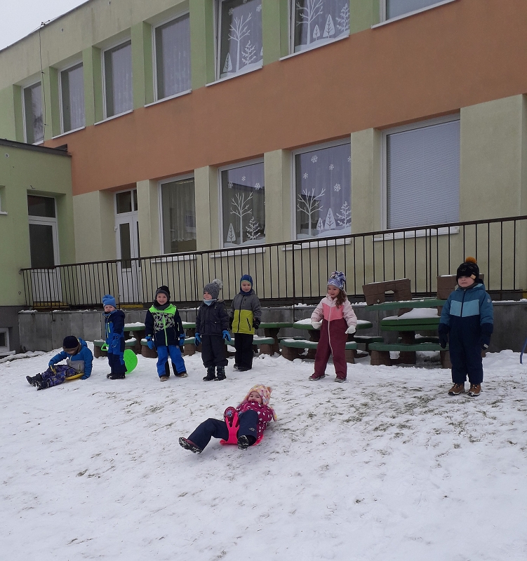 Kočičky na sněhu