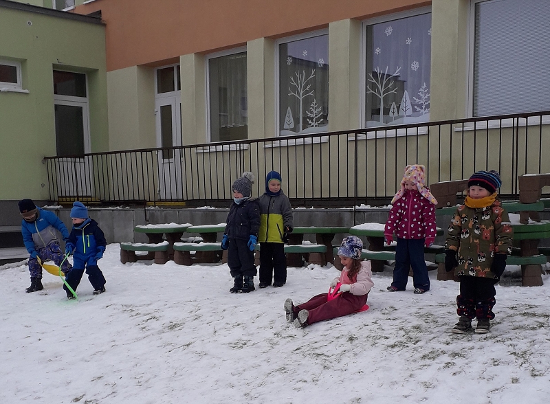 Kočičky na sněhu