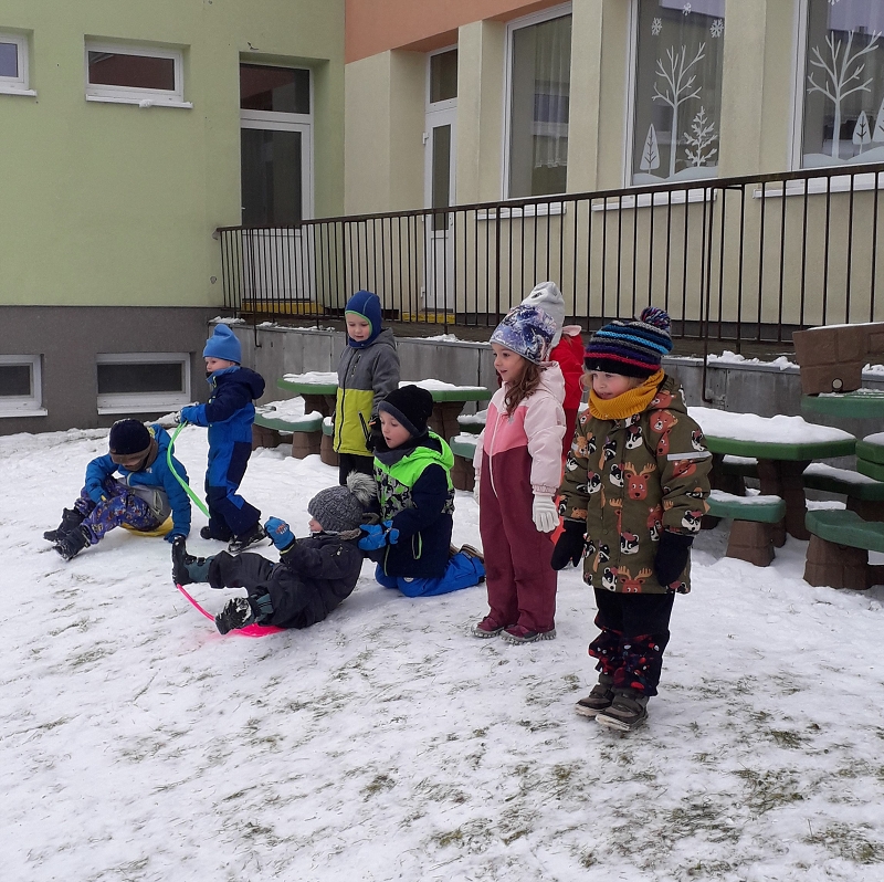 Kočičky na sněhu