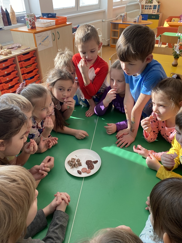 Téma řemesla ve třídě Opičky