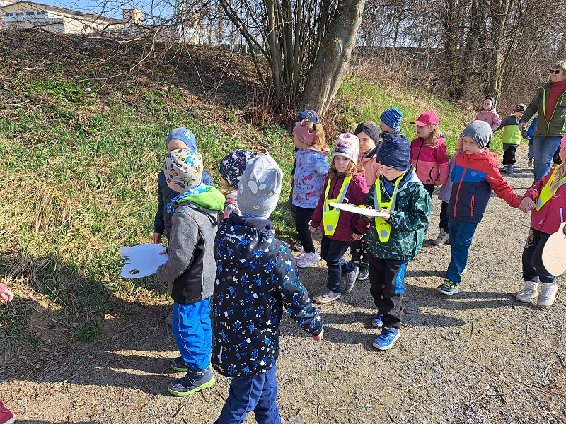 Půldenní vycházka za jarními květinkami - Veverky