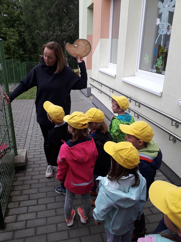 Cesta za pokladem - Kočičky