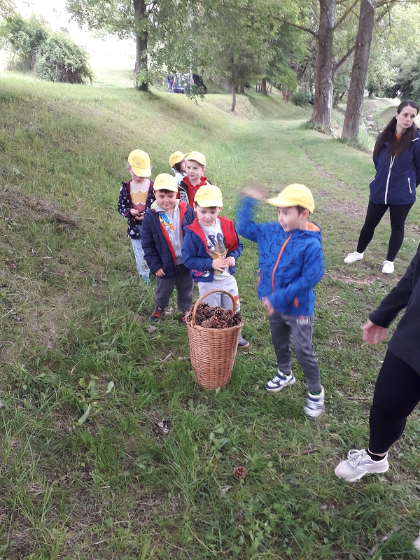 Cesta za pokladem - Kočičky