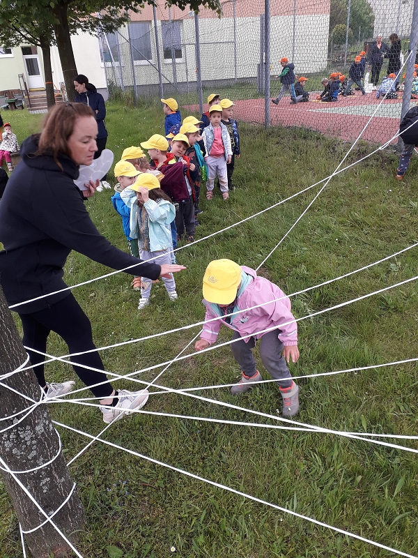 Cesta za pokladem - Kočičky