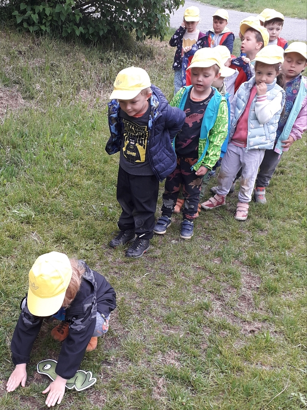 Cesta za pokladem - Kočičky