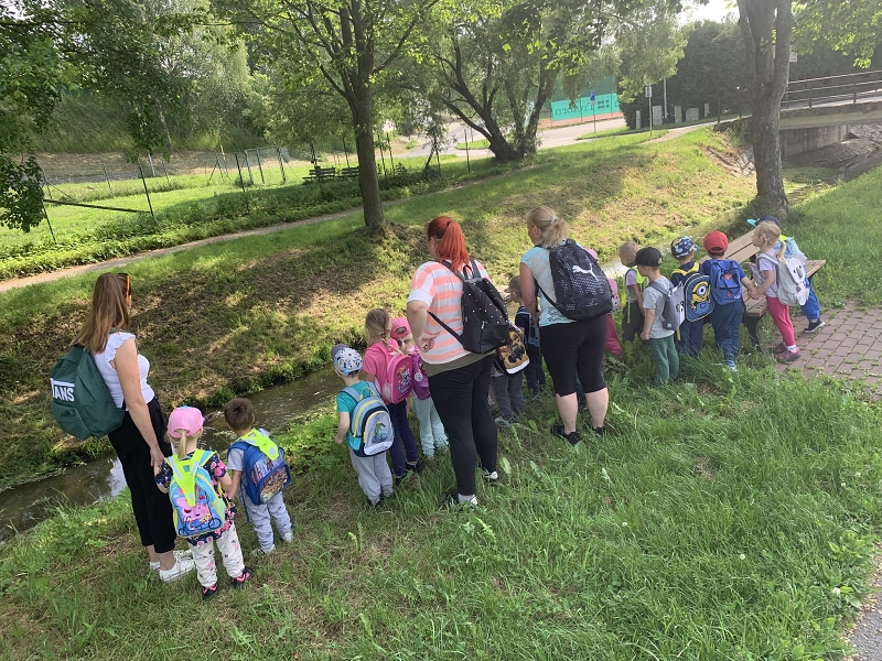 Broučci a jejich piknik