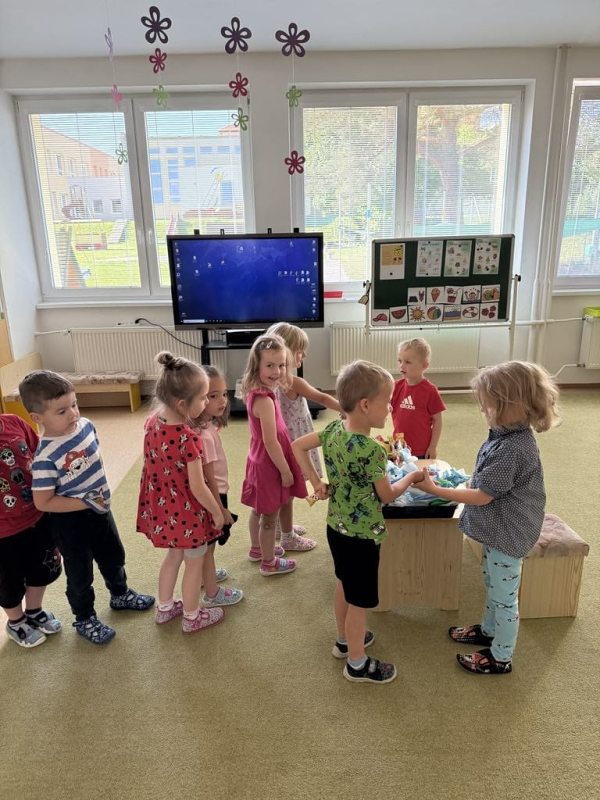 Kočičky slaví narozeniny