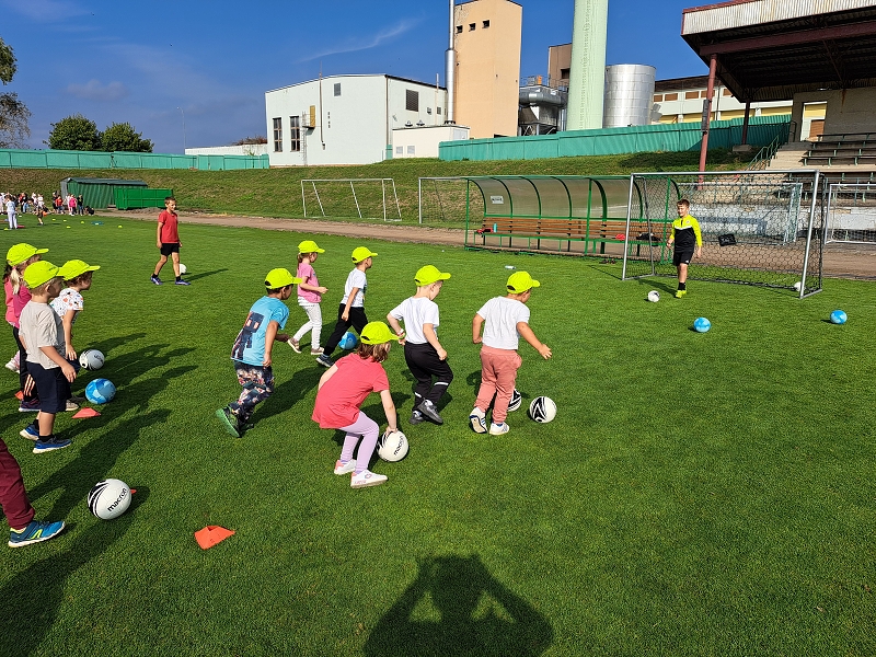 Sportovní dopoledne - Veverky